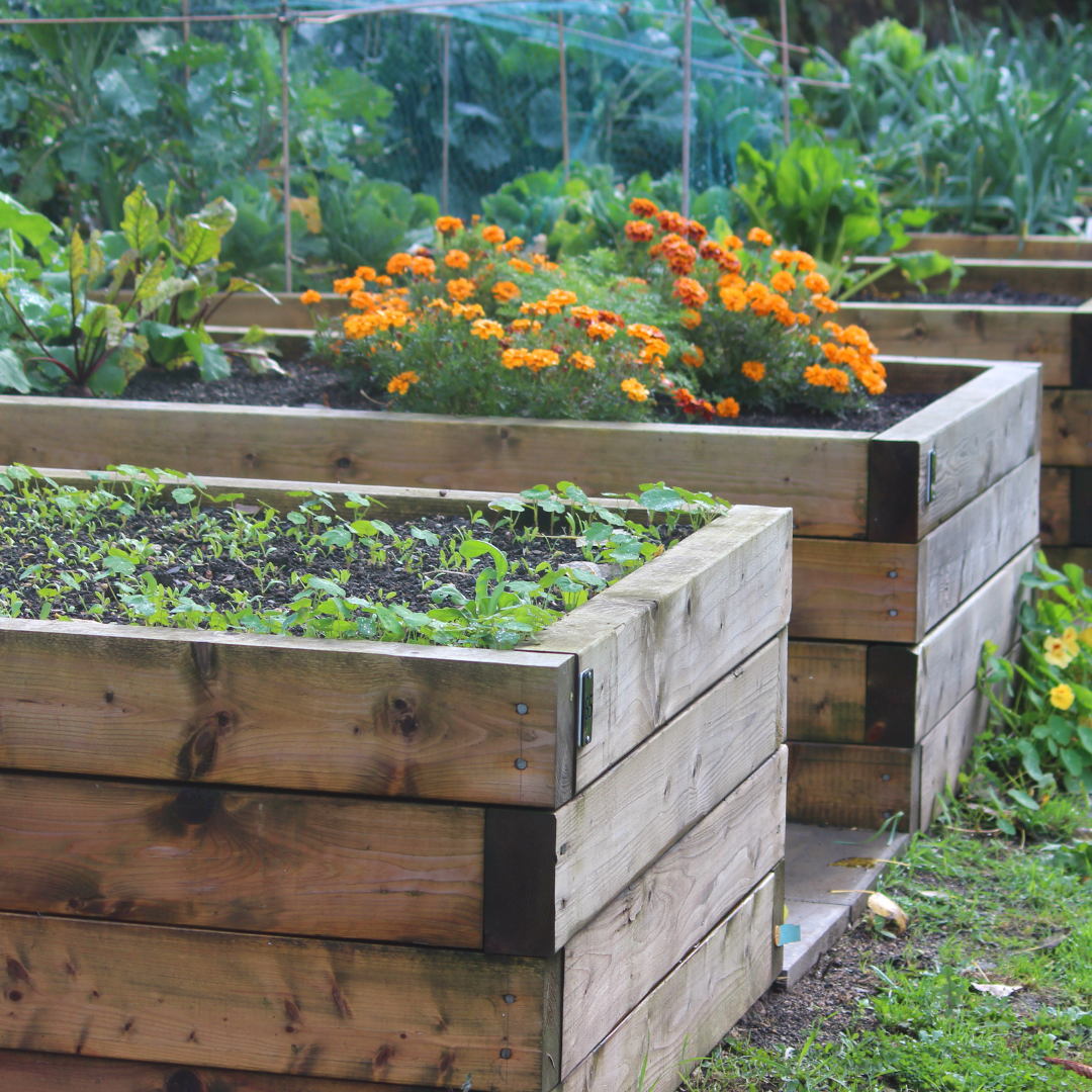 Dünger Gartensegen 1 kg