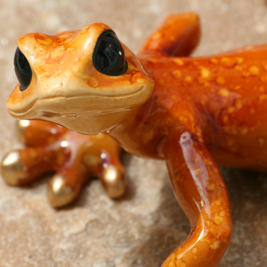 Lizard orange