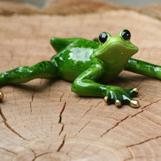 Frogs stretched