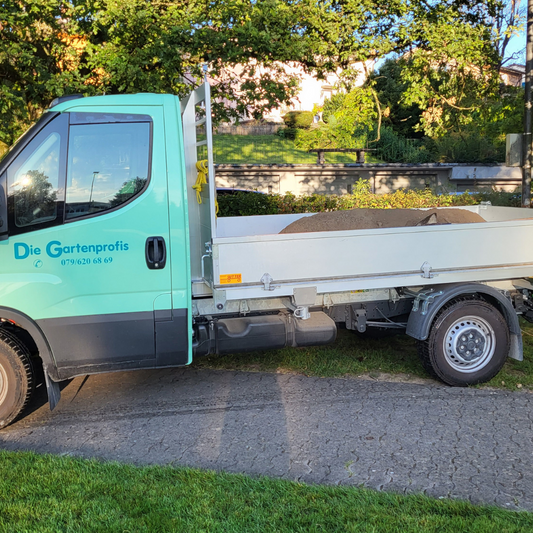 Fall protection chips loose