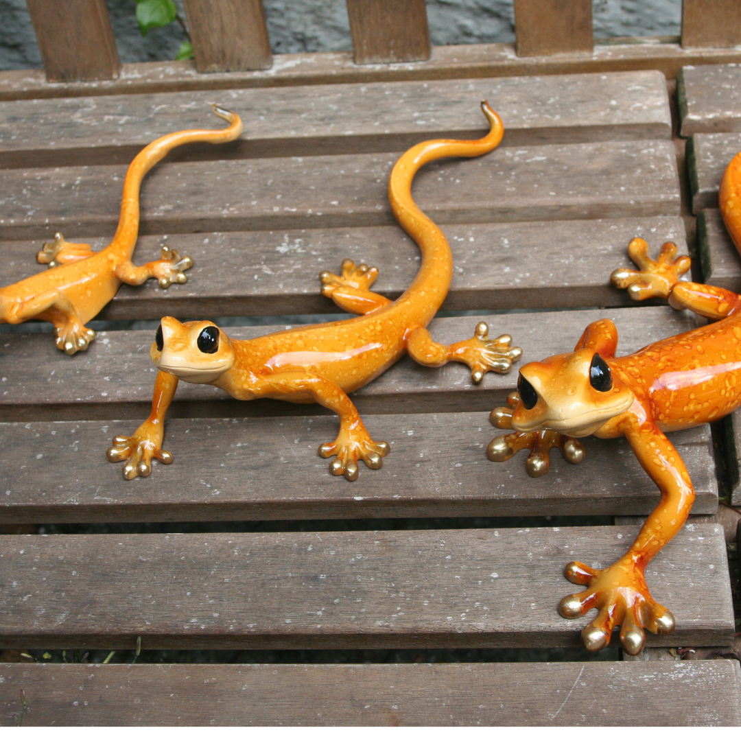 Lizard orange