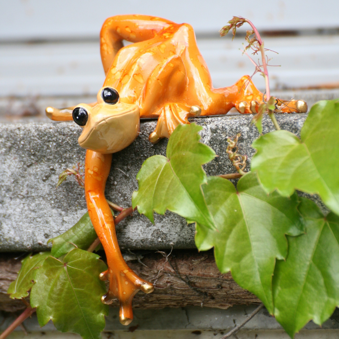 Kantenkletterer "Kanti"