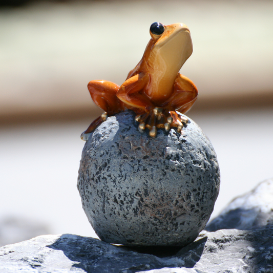 Frogs on ball