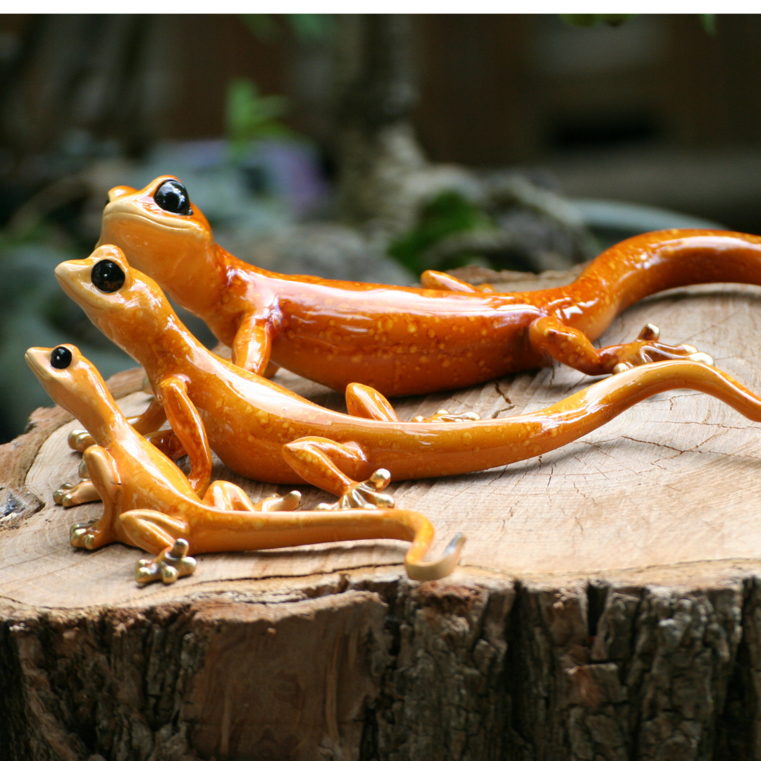 Lizard orange