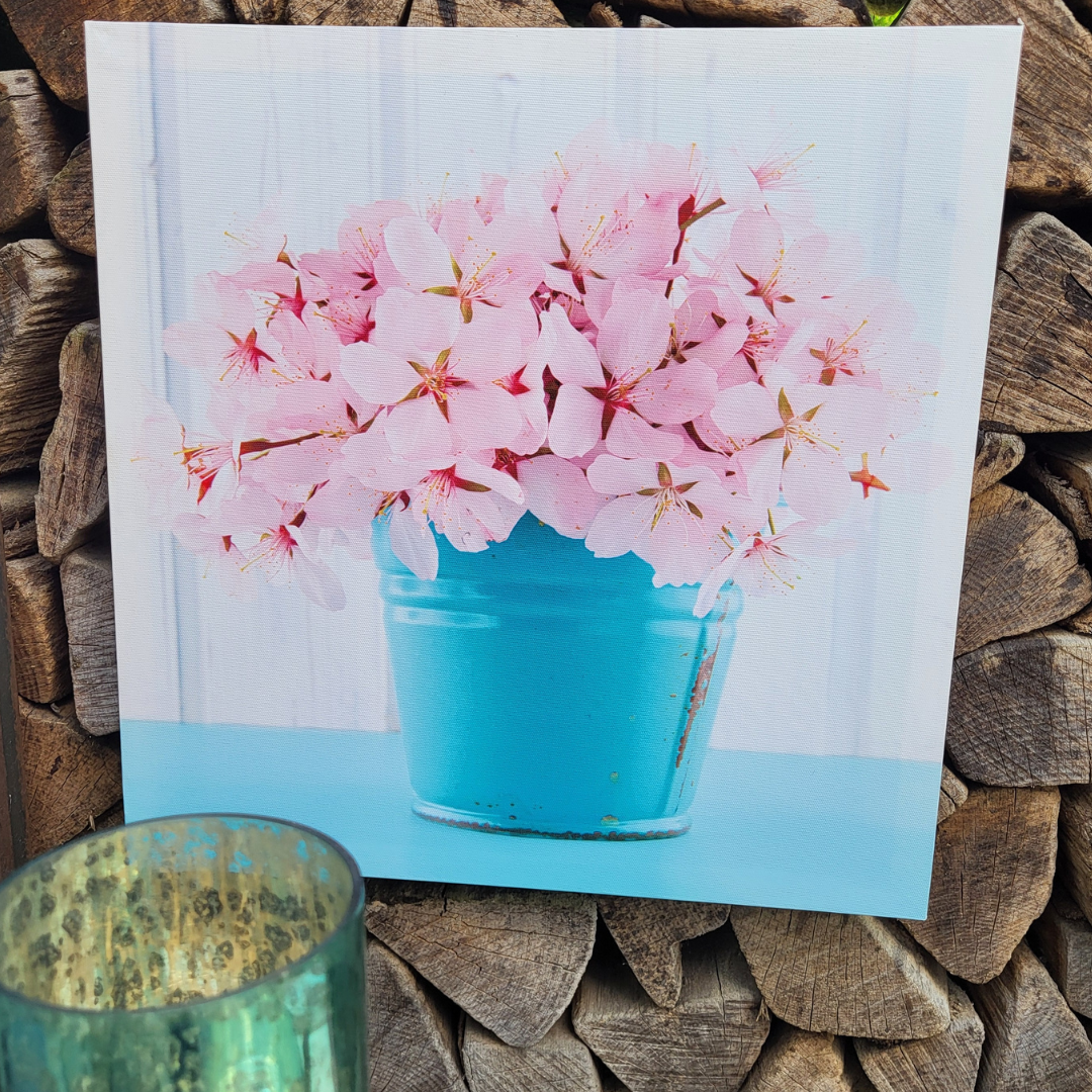 Bilder Kirschblüten & Schleierkraut