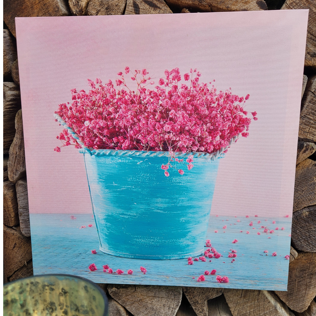Bilder Kirschblüten & Schleierkraut