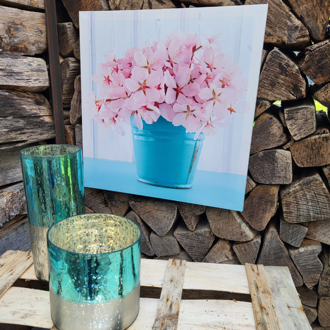 Bilder Kirschblüten & Schleierkraut