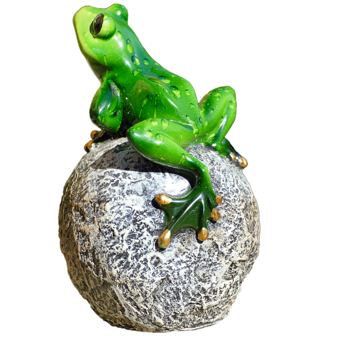 Grenouilles sur balle