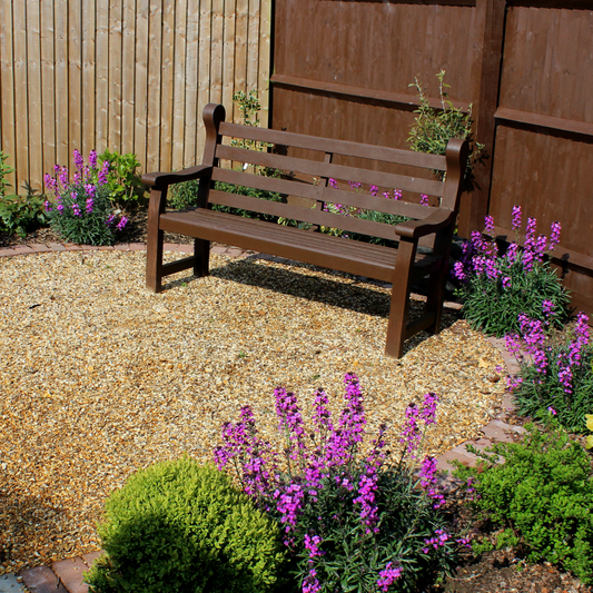 Erysimum cheiri "Bowles Mauve"