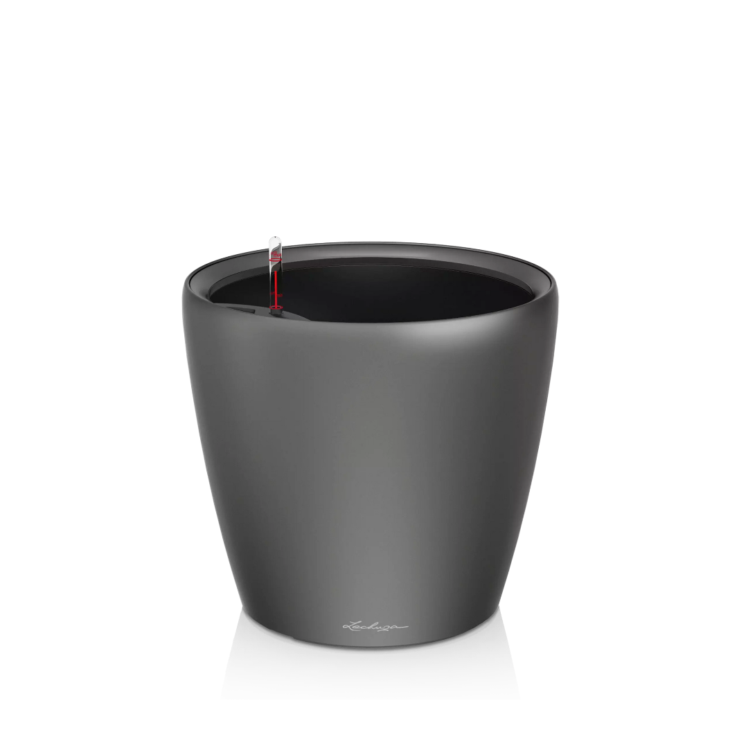 Classico Premium LS Lechuza Gefässe