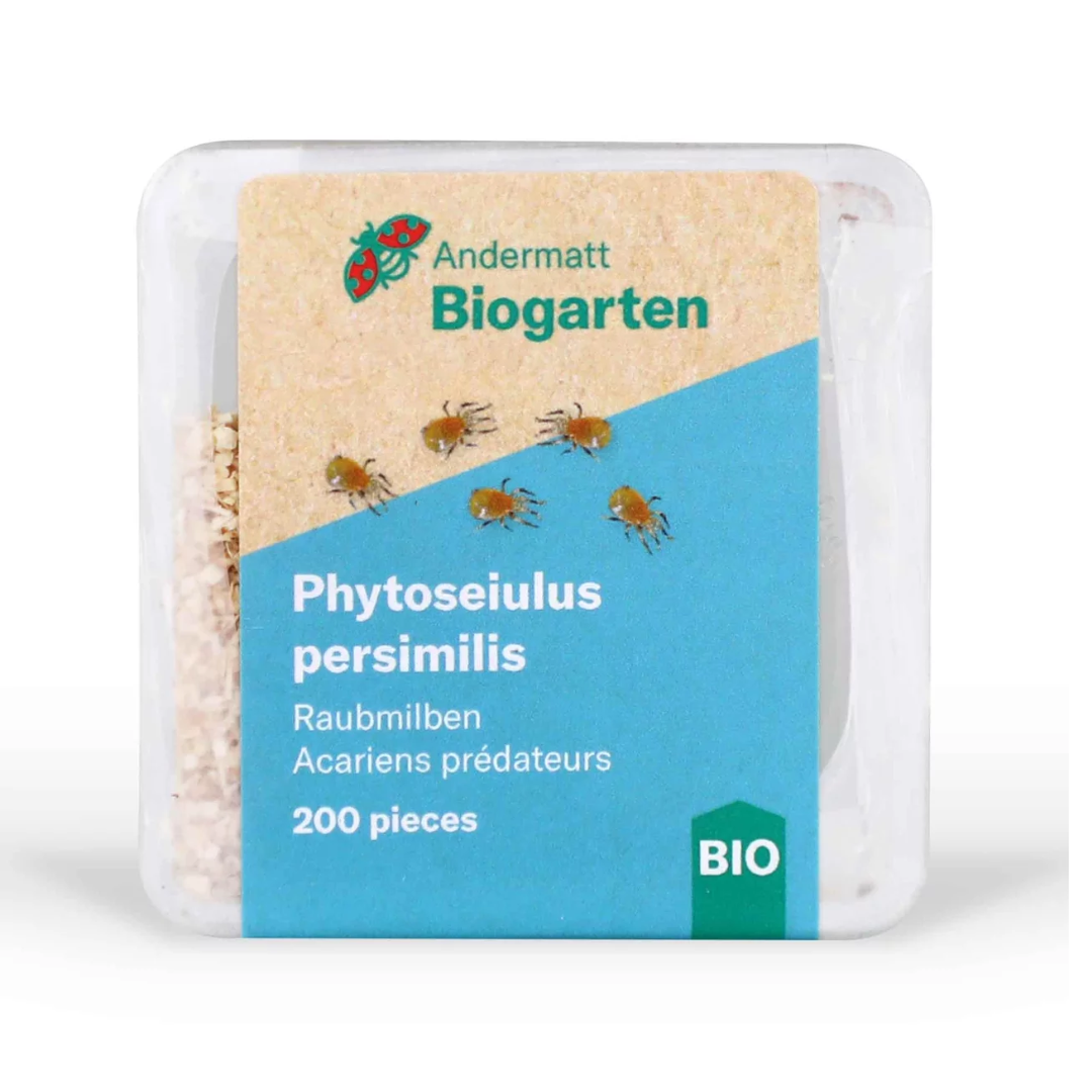 Acariens prédateurs Amblyseius cucumeris (thrips)