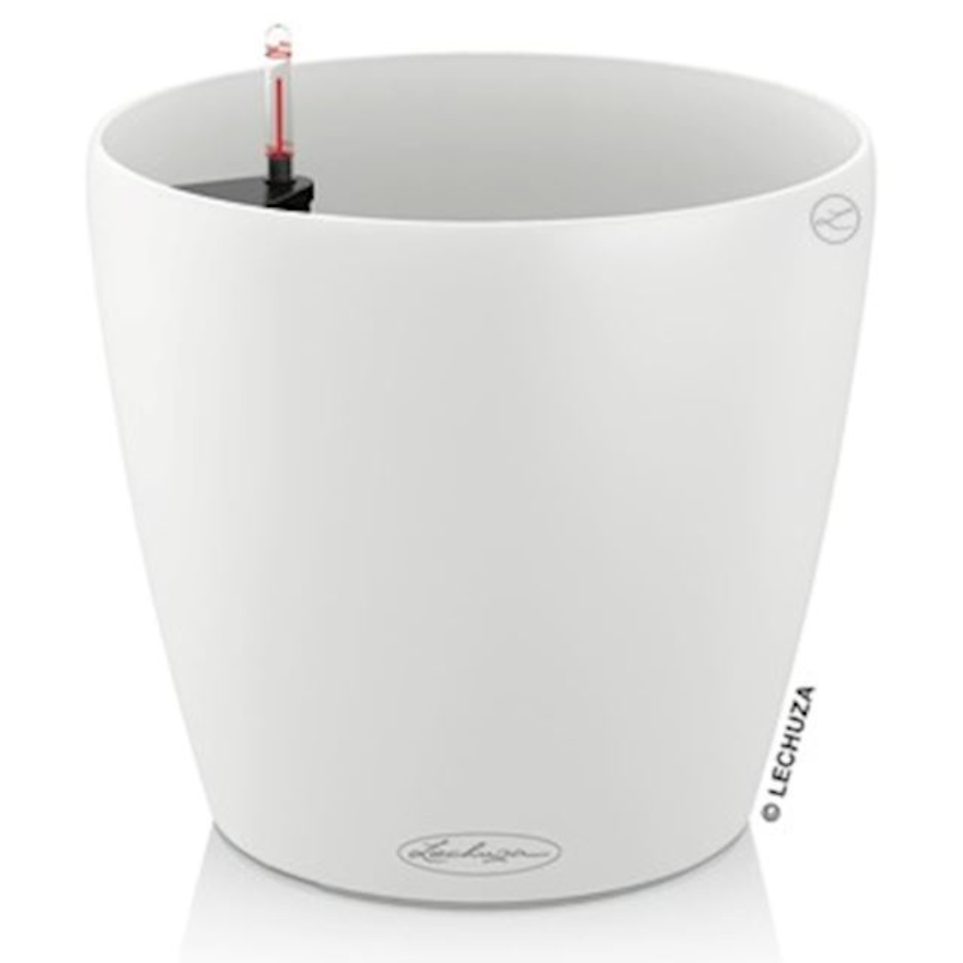 Couleur Classique 28 cm