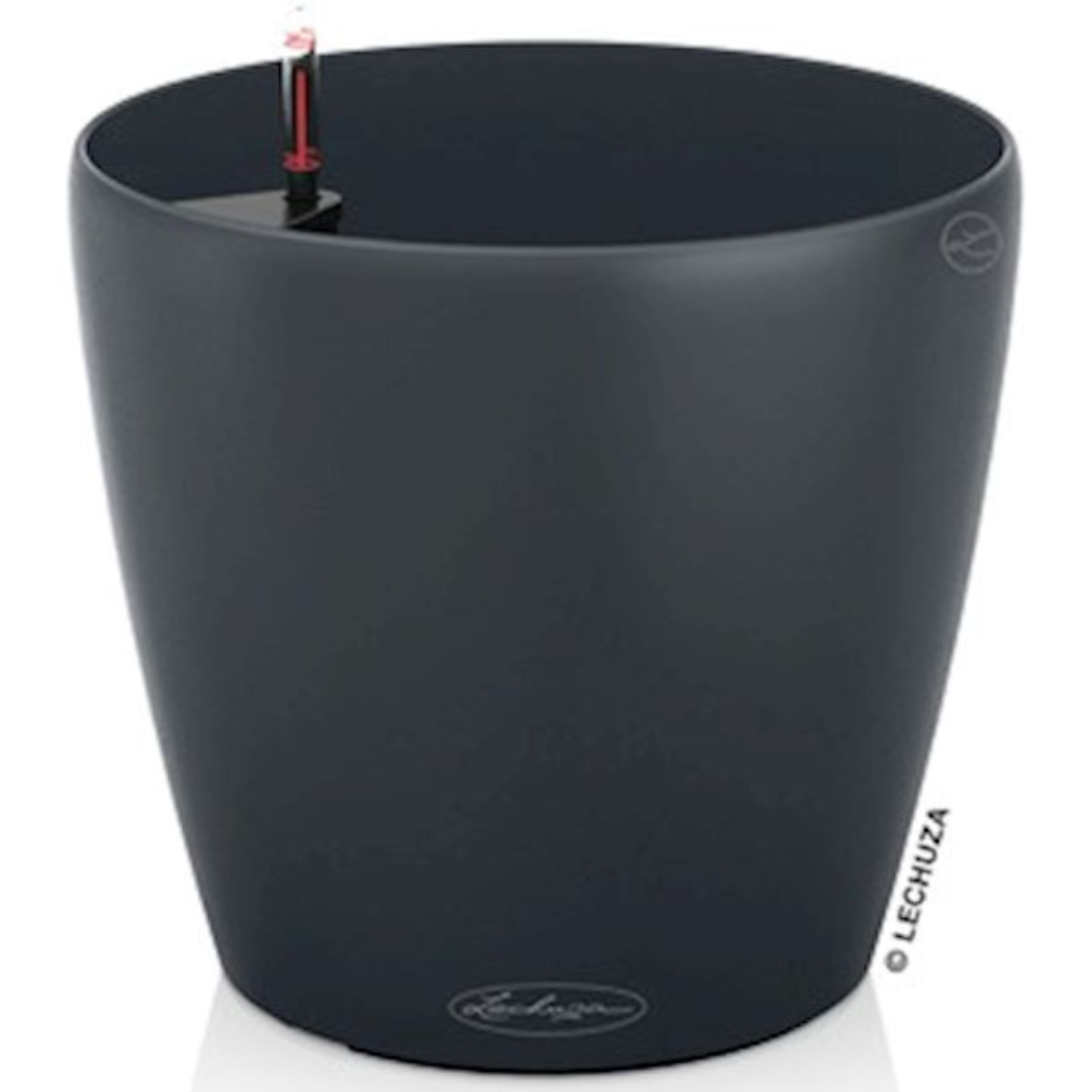 Couleur Classique 28 cm