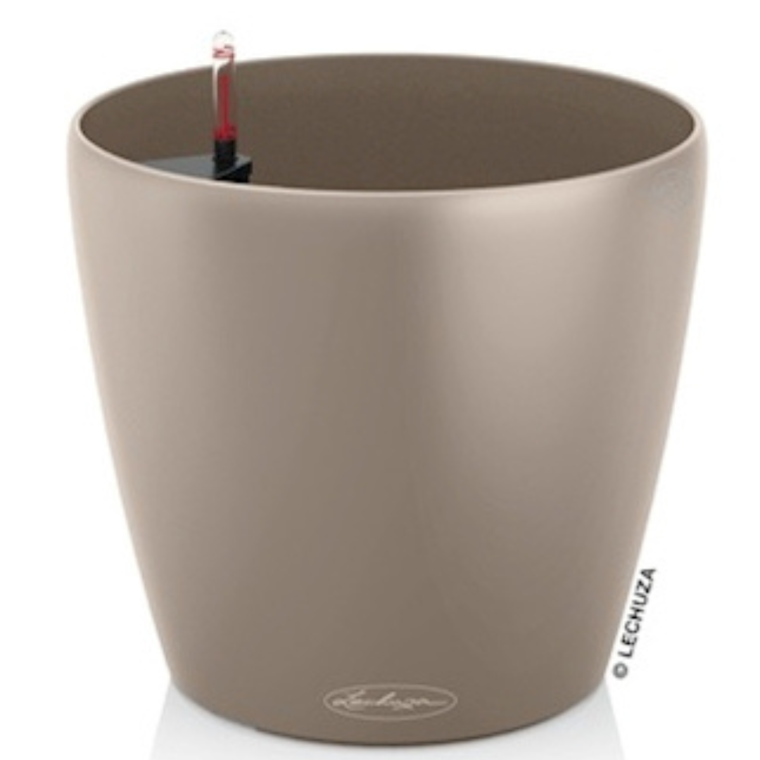Couleur Classique 28 cm