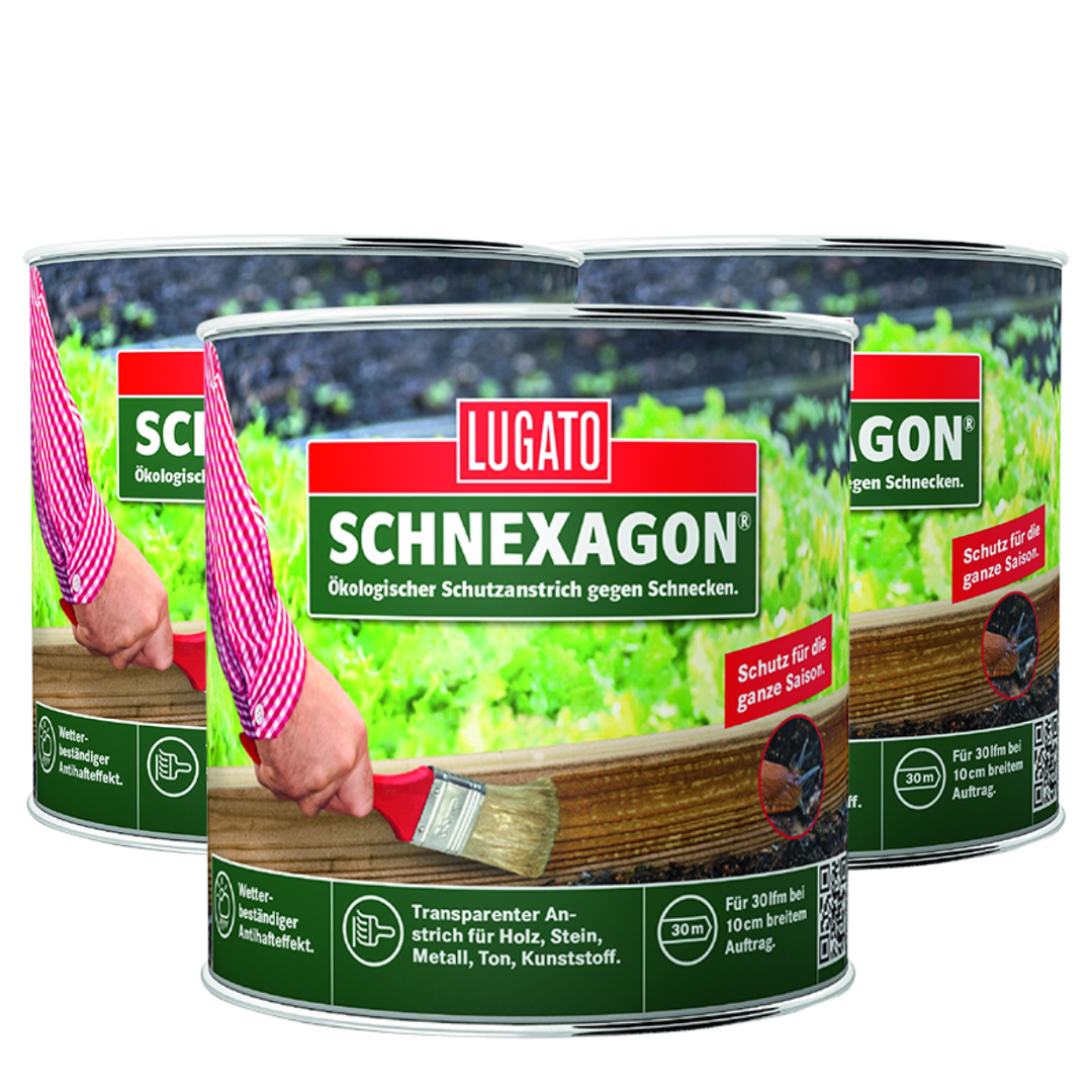 Schnexagon