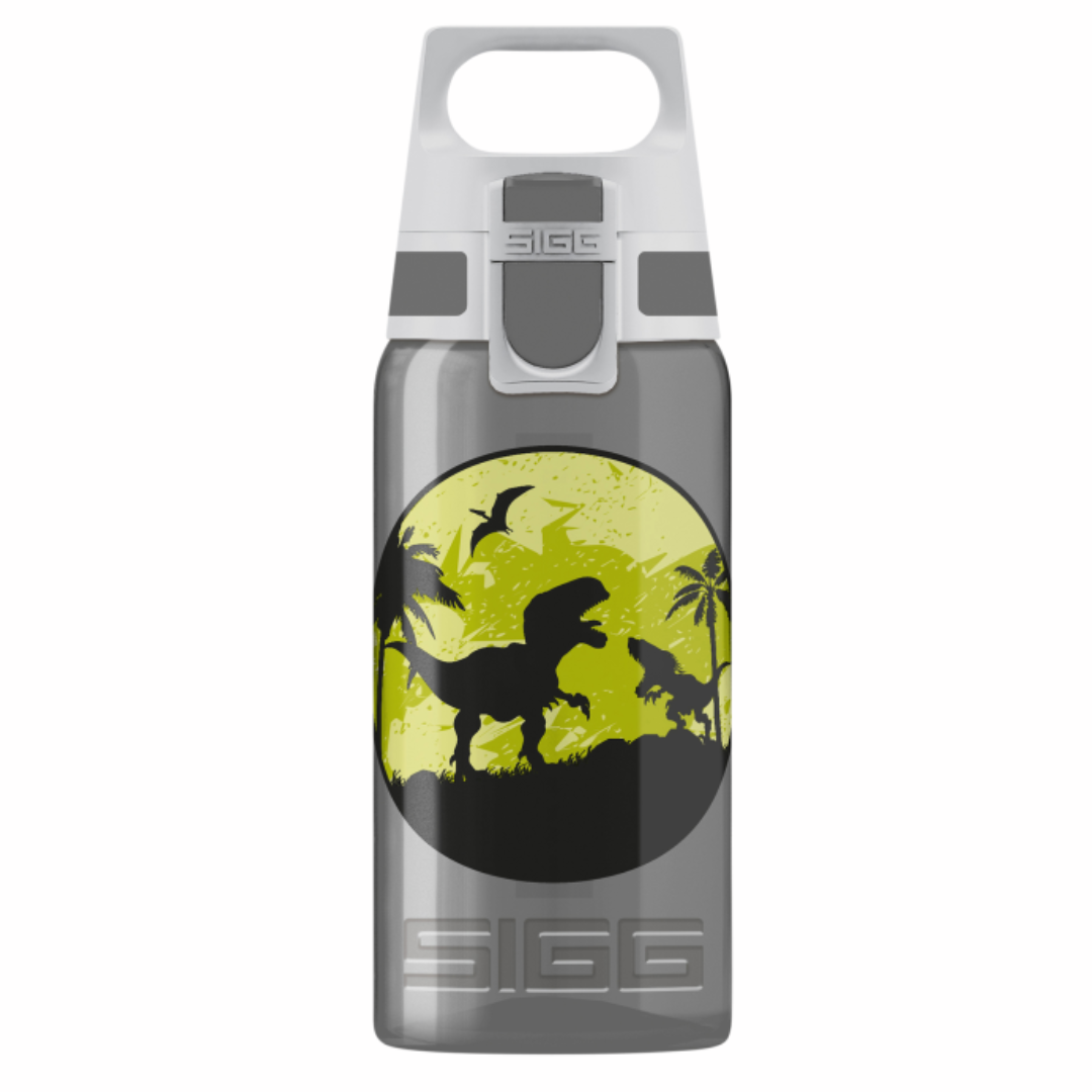 Trinkflasche Dino