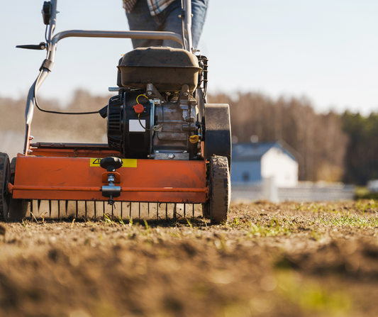 Rasen vertikutieren – für einen gesunden, dichten Teppich im Garten