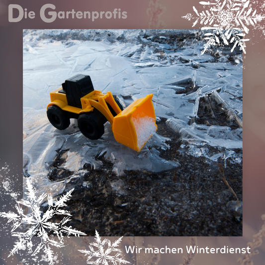 Winterdienst in Illnau-Effretikon Auf dem Bild ein kleiner Spielzeug Pneulader welcher Schnee räumt