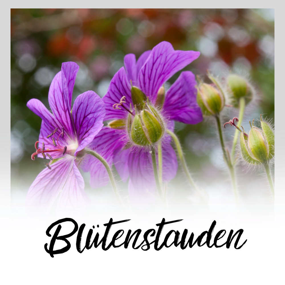 Die Gartenprofis AG