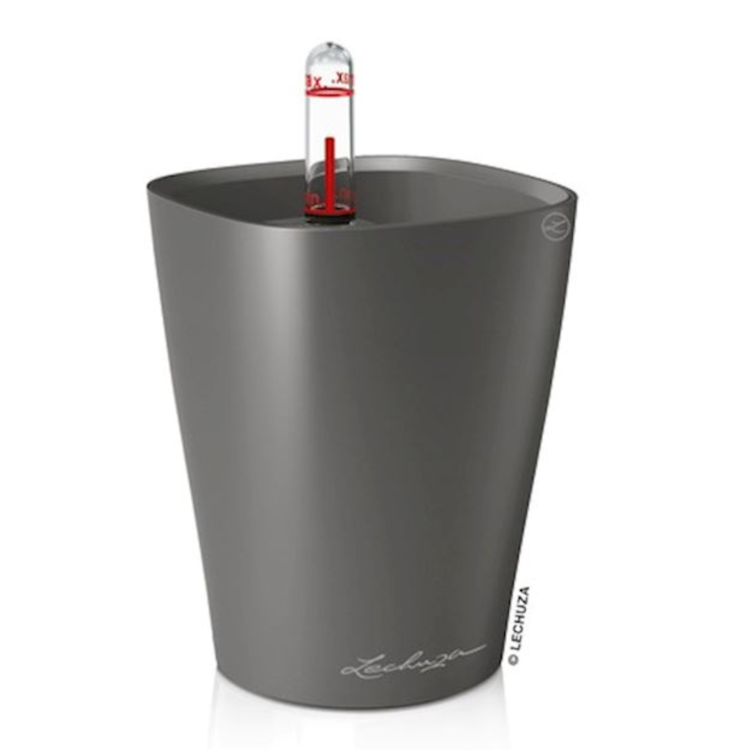 Mini-Deltini