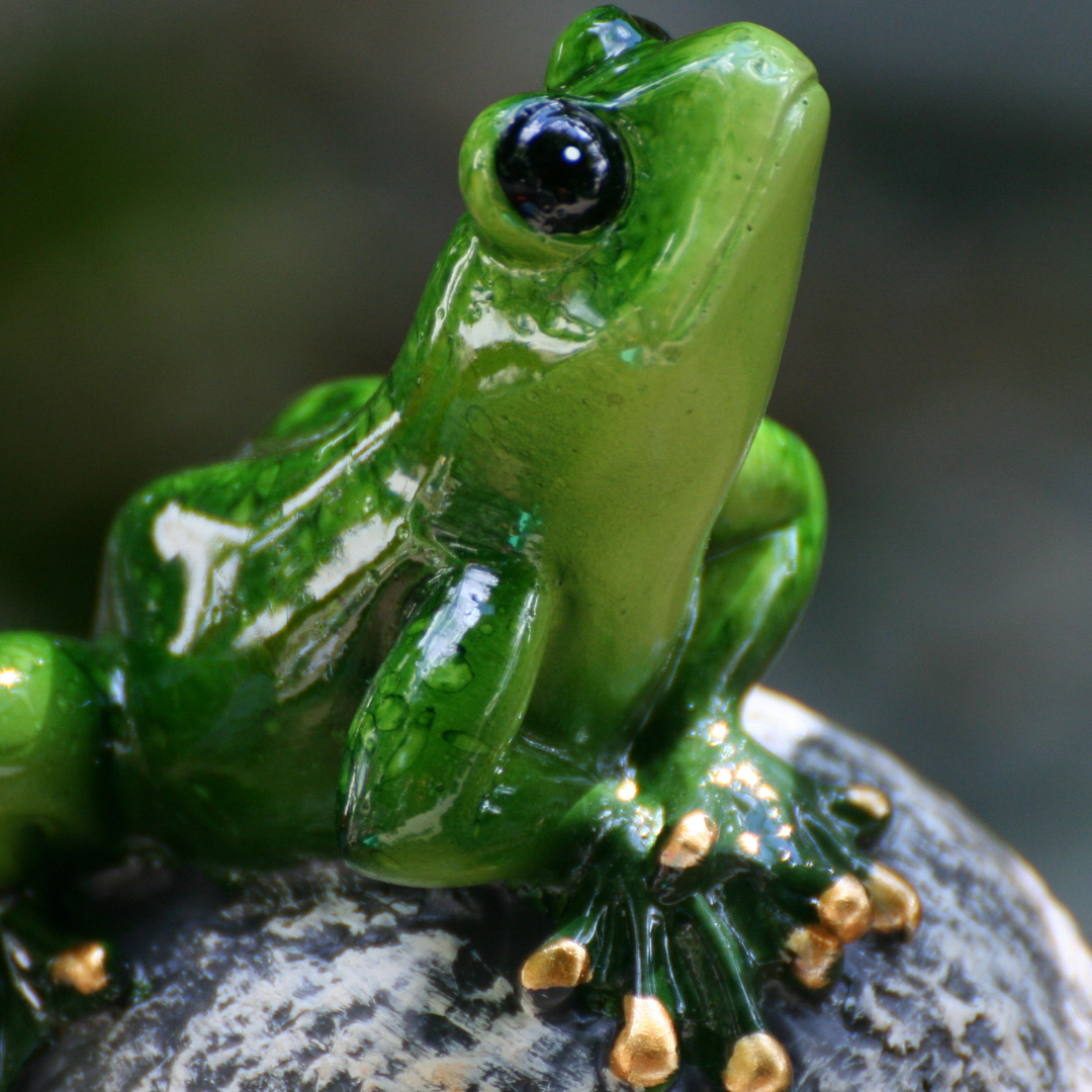 Grenouilles sur balle