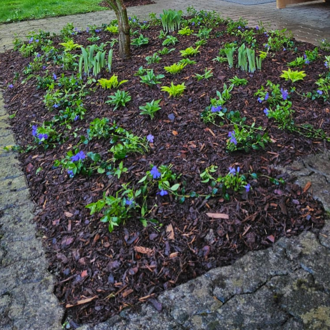 Bark mulch / bark chips loose