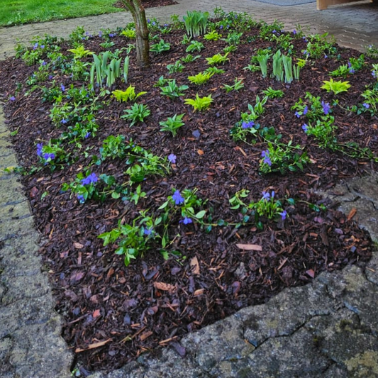 Bark mulch / bark chips loose