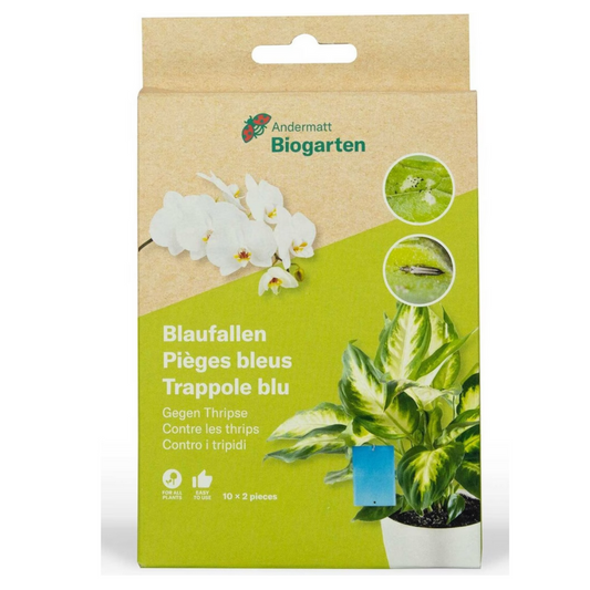 Blue traps 10 pieces (Thrips)