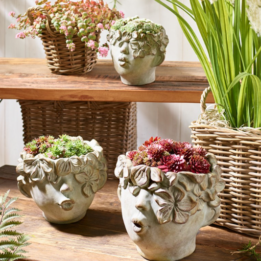 Planter head green