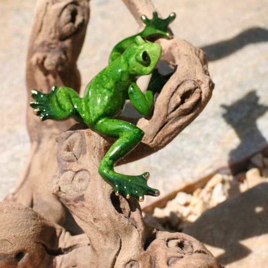 Frogs stretched