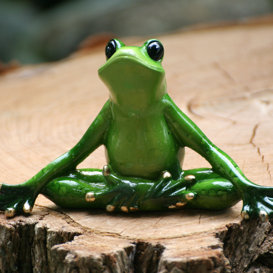 Yoga Frog