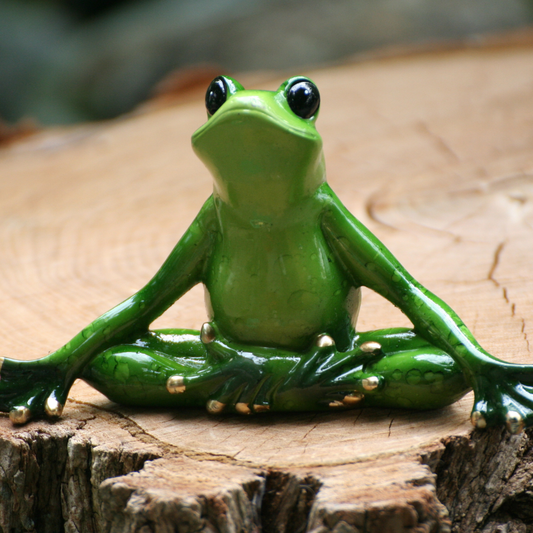 Yoga Frosch