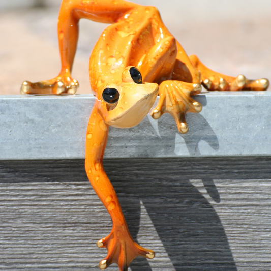 Edge climber "Kanti"