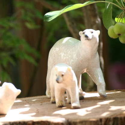 Ours polaires