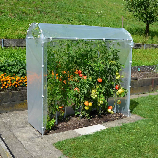 Tomatenhaus