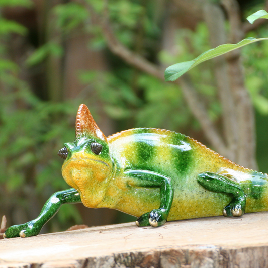 chameleon