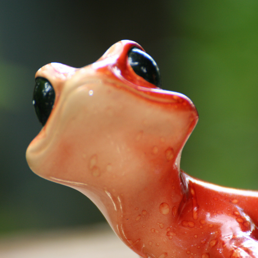 Lizard red