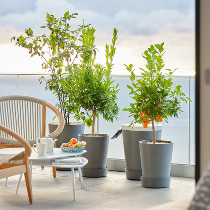Boum 3 Balkon Set