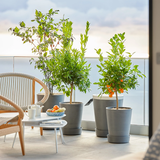 Boum 3 Balkon Set