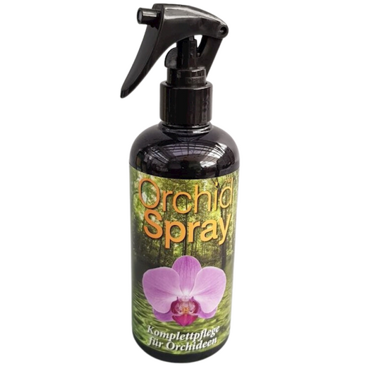 Sphagnum moss living / Sphagnum moss fresh