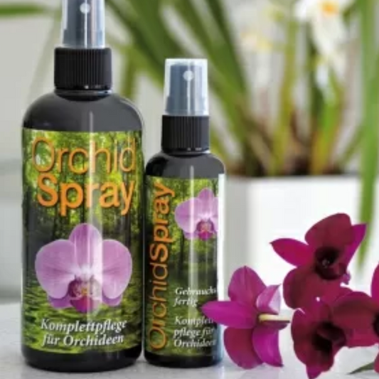 Sphagnum moss living / Sphagnum moss fresh