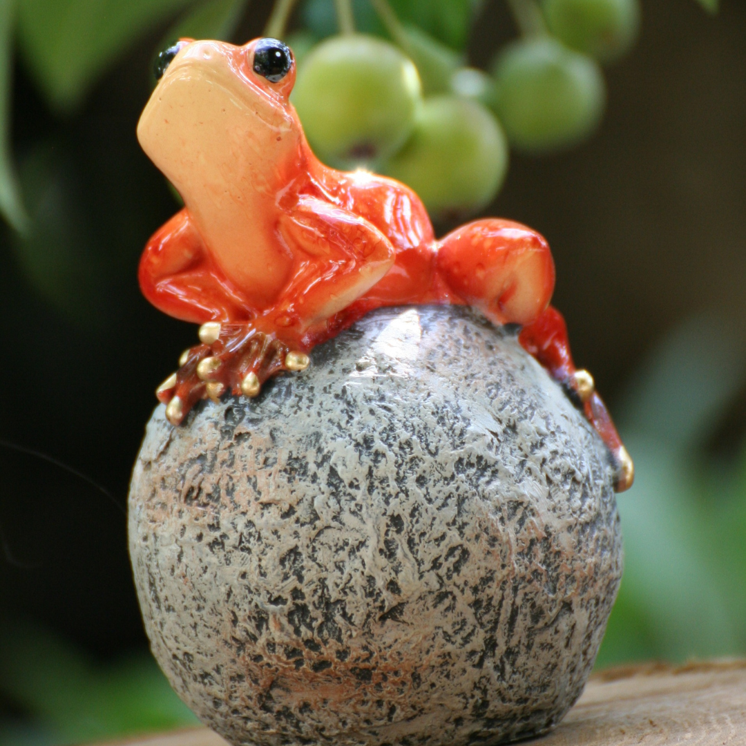 Grenouilles sur balle