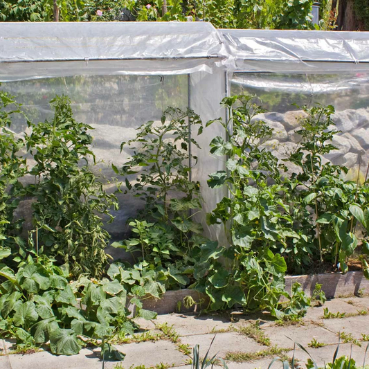 Tomatenhaus