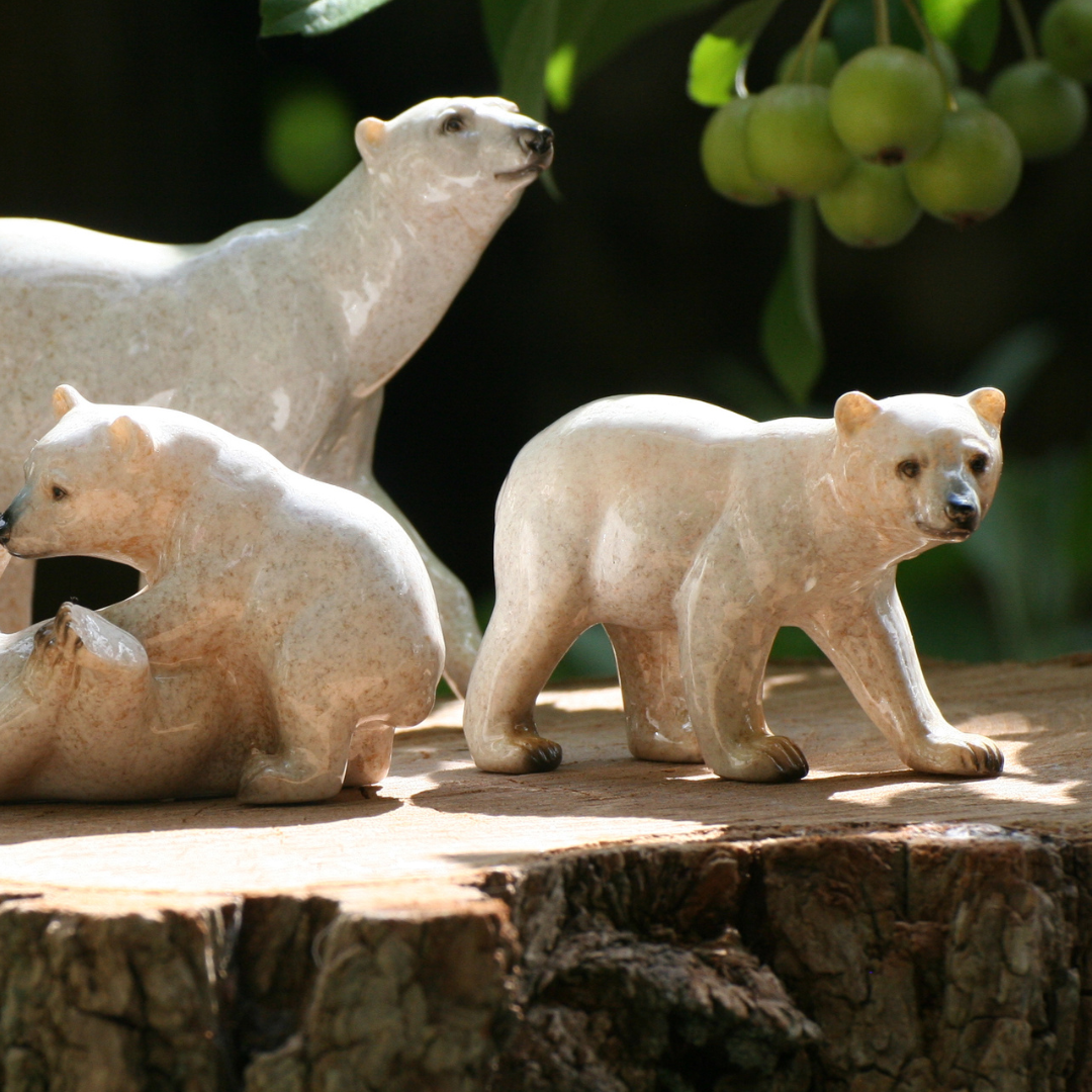 Ours polaires
