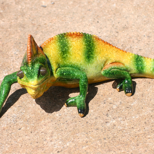 chameleon