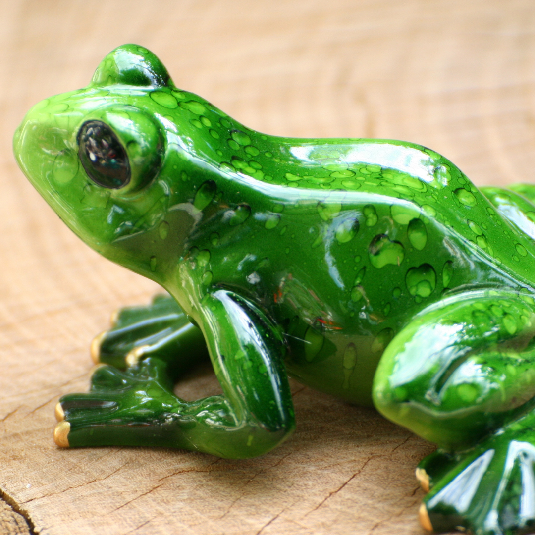 Frosch grün sitzend