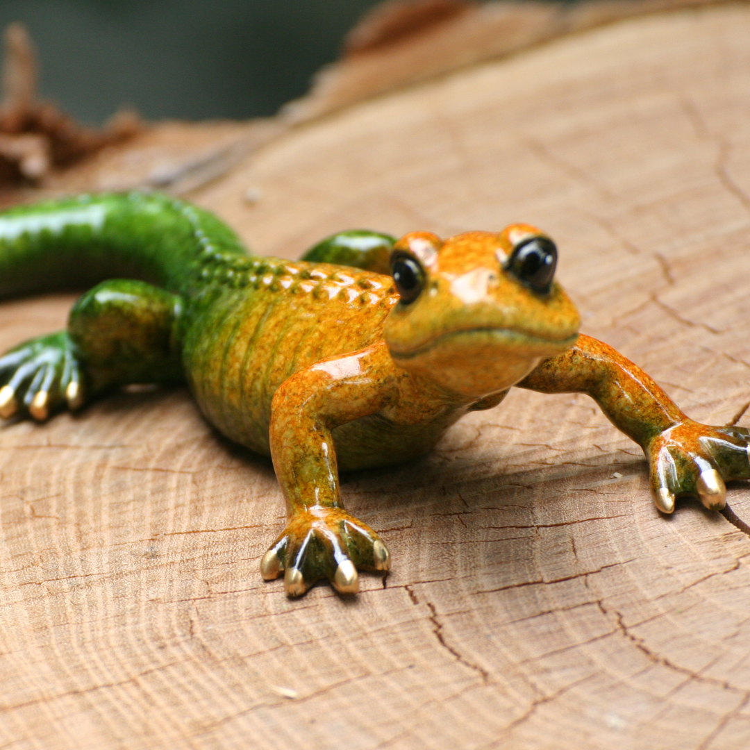 salamander