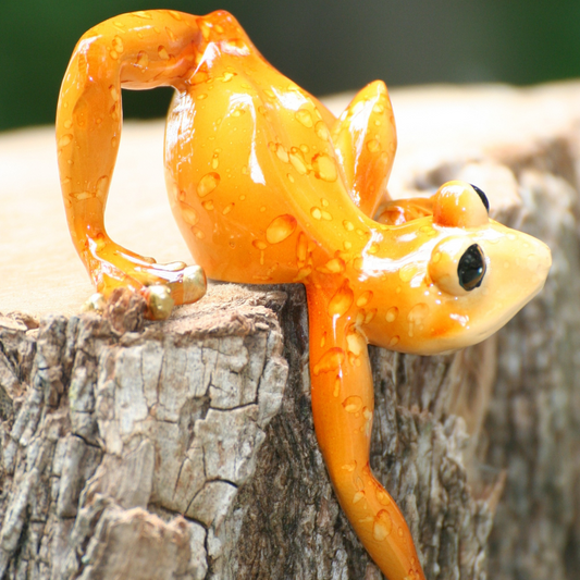 Edge climber "Kanti"