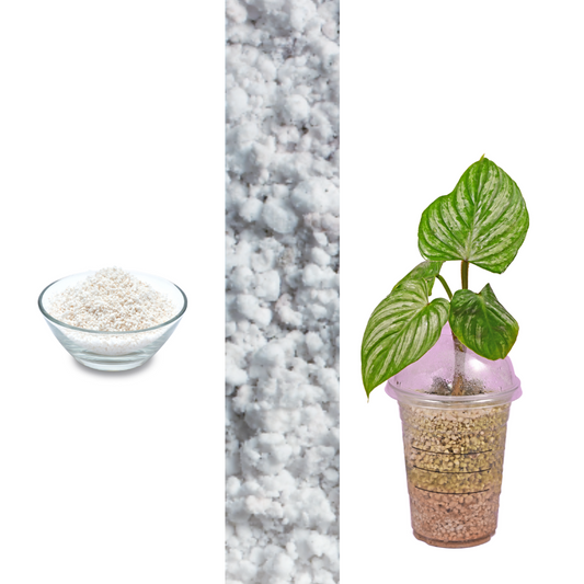 Perlite 10 liters 2 - 6 mm