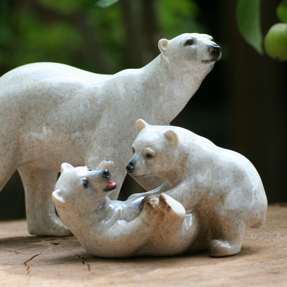 Ours polaires